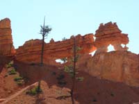 11-weathering_of_limestone_rock_appears_to_resemble_a_dragon