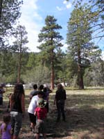 03-kids_get_to_use_an_$800_clinometer_to_measure_height_of_tree