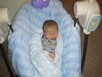 02-Baby_Wade-8_days_old