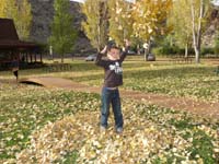 06-throw_the_leaves_as_high_as_you_can