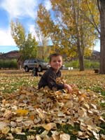 07-sitting_in_a_pile_of_leaves