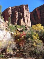 39-fall_colors_and_mountain_cliffs_at_Lower_Emerald_Pools