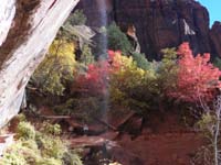 40-Kenny,Mommy,and_Poppy_with_fall_colors_and_waterfall