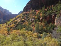 44-fall_colors_along_Kayenta_Trail