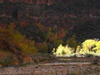 59-pretty_fall_colors_at_Big_Bend