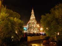 18-Christmas_tree_at_Town_Square