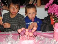 26-a_new_way_to_enjoy_cake-cake_pops-they_taste_very_good-hard_to_eat_just_one