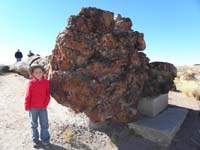 04-Kenny_and_the_'roots'_of_the_GiantLog