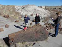 07-Kenny_wrapping_arms_around_a_petrified_log_as_part_of_the_program