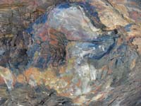 08-very_colorful_petrified_log
