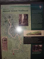 01-Interpretive_Sign-Merced_Grove_Trailhead