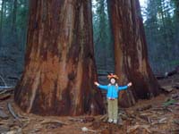 08-Kenny-how_big_are_the_sequoias-this_big