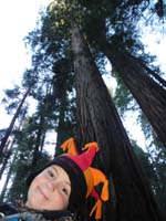 11-Kenny's_face_and_looking_up_to_sequoias