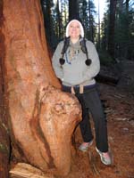 12-Kristi_and_a_gall_growth_from_the_sequoias_trunk