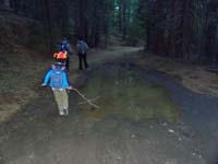 20-hiking_back-Kenny_dragging_stick_and_playing_with_a_puddle-we_were_alone_for_almost_all_of_hike