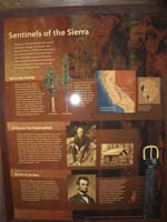 06-Interpretive_Sign-Sentinels_of_the_Sierra-Mariposa_Grove-sequoias