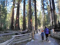 12-Kenny_and_Mommy_walking_near_sequoias