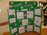 10-the_science_fair_presentation