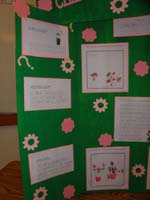 11-the_science_fair_presentation-closer_view1