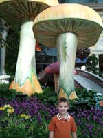 08-Kenny_at_Bellagio_conservatory