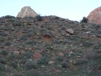 07-Kenny_wanted_to_climb_the_rocks_after_dinner