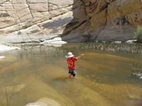 15-he's_getting_braver_and_walks_to_a_deeper_section
