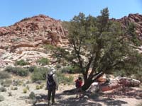 10-took_a_break_under_tree_at_saddle-only_shade_in_area-took_1h15m_to_travel_.9_miles_gaining_600_ft_elevation