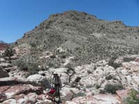 12-Kenny_and_Poppy_scrambling-New_Pk_in_background-our_tree_resting_place_to_left