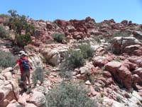 14-Kenny_scrambling-he's_moving_faster_now_since_he_likes_to_scramble