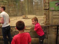 42-Daddy_took_Kenny_and_his_'secret_brother'_J.R._to_Mandalay_Bay's_Shark_Reef-Komodo_Dragon-Kenny's_excited