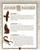 43-Junior_Ranger_Program-Grand_Canyon_South_Rim-#21