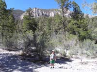 05-Kenny_with_Fletcher_Peak_in_upper_left-we'll_backpack_to_that_peak_via_Raintree_in_couple_weeks