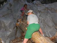 21-last_log_to_climb-now_the_slick_wall