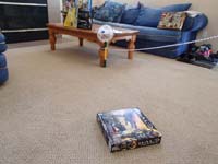 35-Kenny's_pictures_of_the_game