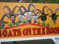 09-Goats_on_the_Roof_fun