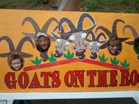 10-Goats_on_the_Roof_fun