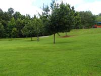 14-hmmm-a_bit_tougher_riding_a_bike_on_grass
