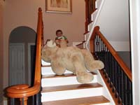18-Kenny_tries_to_pull_the_big_bear_up_the_stairs