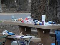 17-Daddy_watched_several_Steller's_Jays_pick_at_neighbor_campsite-bad_example