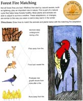 30-Lassen_Volcanic_NP_Junior_Ranger_program05