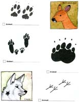 36-Lassen_Volcanic_NP_Junior_Ranger_program11
