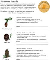 38-Lassen_Volcanic_NP_Junior_Ranger_program13