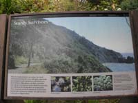 08-interpretive_sign-Sturdy_Survivors