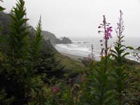 11-pretty_scenery