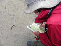 14-Kenny_found_a_banana_slug_on_the_trail
