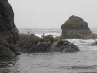 28-foggy_beach_scenery