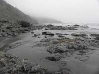 31-looking_back_to_hike_origin_along_beach