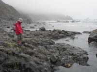 37-Kenny_checking_out_the_sea_life