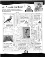 40-Crater_Lake_NP_Junior_Ranger_program10