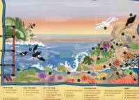 17-interpretive_guide_to_tide_pool